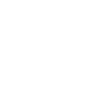 logo white